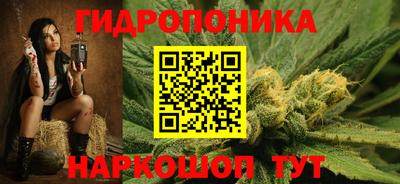 a pvp Новодвинск