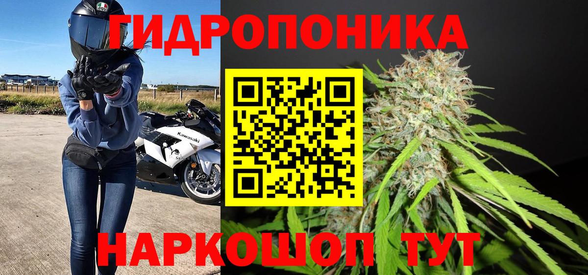 Бошки Шишки гибрид  Вход с VPN  Бошки Шишки план  Каннабис индика  Конопля SATIVA & INDICA  Туймазы 
